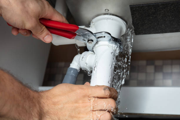 Best Professional water damage repair  in Colwich, KS