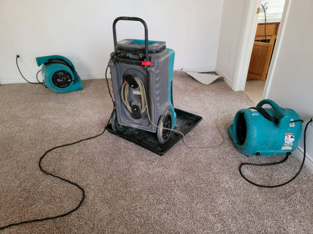 Best Sewage cleanup and water damage restoration  in Colwich, KS