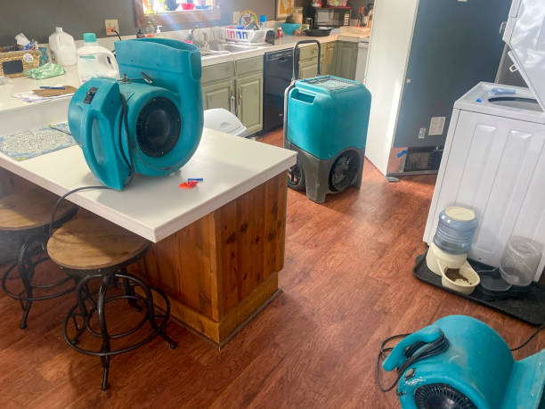 Best Ceiling water damage repair  in Colwich, KS