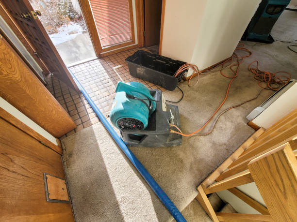 Best Flood damage cleanup  in Colwich, KS