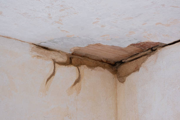 Best Emergency water damage restoration  in Colwich, KS
