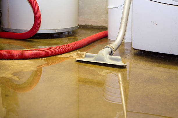 Best 24-hour water damage restoration  in Colwich, KS