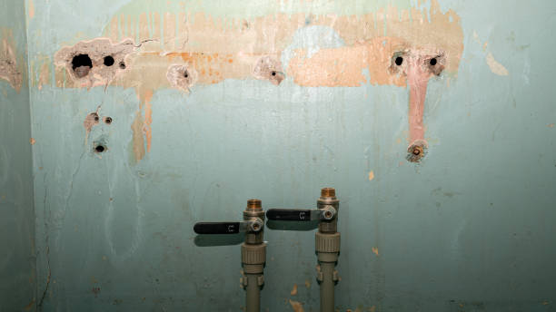 Best Mold removal after water damage  in Colwich, KS