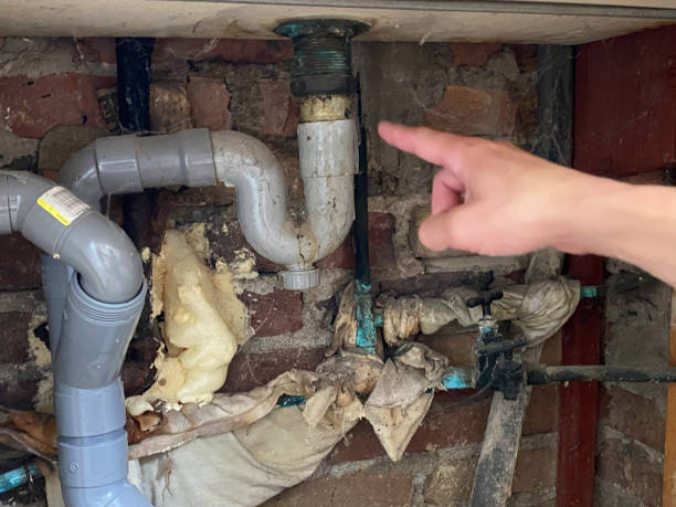 Best Sewage cleanup and water damage restoration  in Colwich, KS