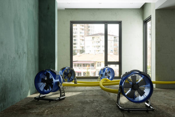 Best Ceiling water damage repair  in Colwich, KS