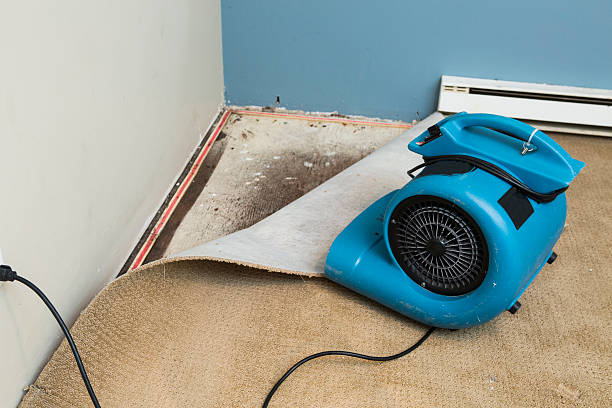 Best 24-hour water damage restoration  in Colwich, KS